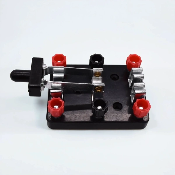 Переключатель двухполюсный (демонстрационный)